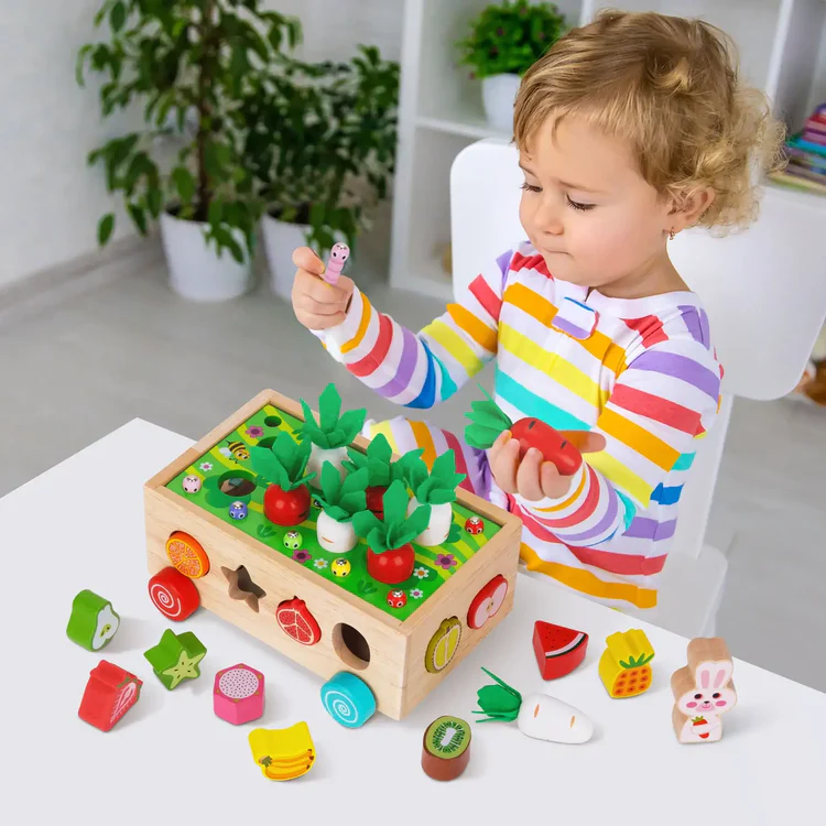 Montessori Karottenräder