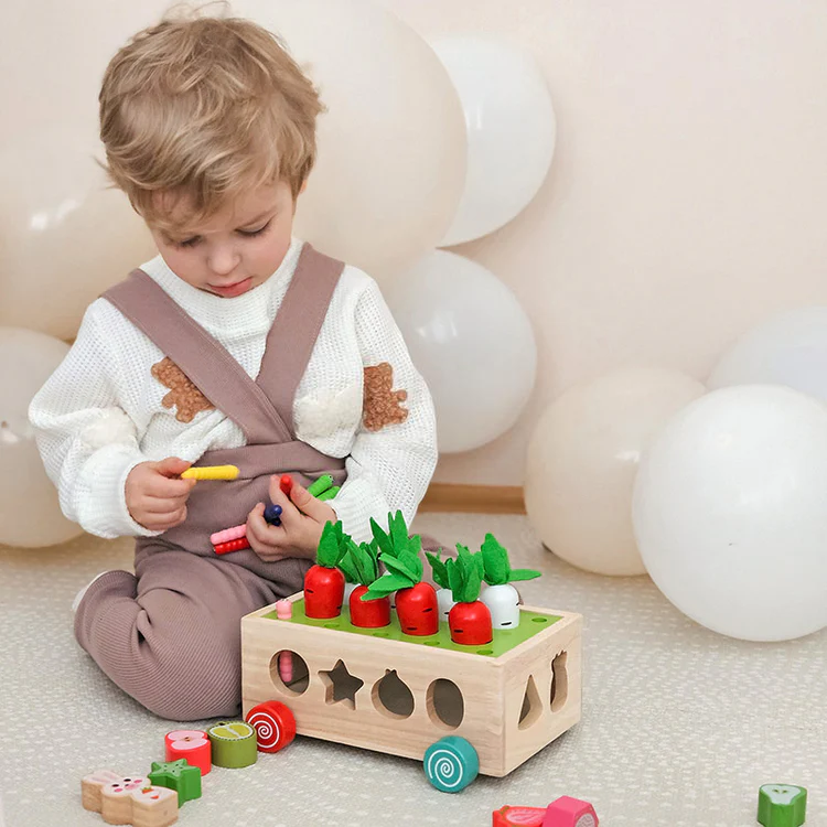 Montessori Karottenräder