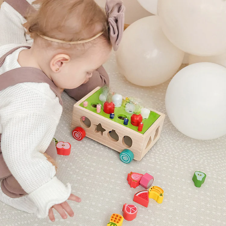 Montessori Karottenräder