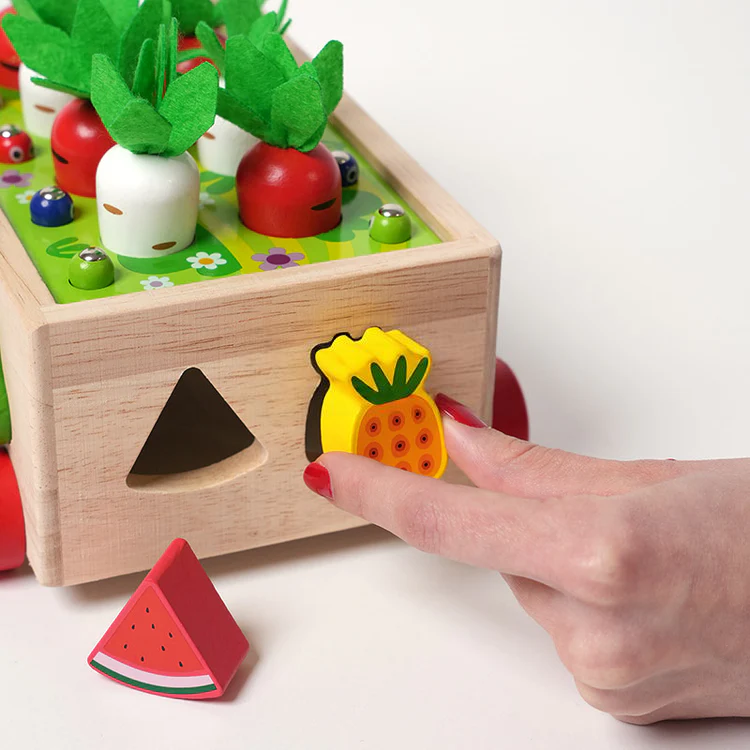 Montessori Karottenräder