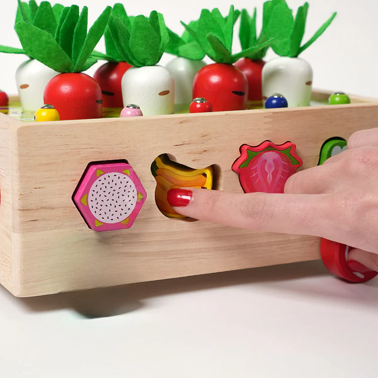 Montessori Karottenräder