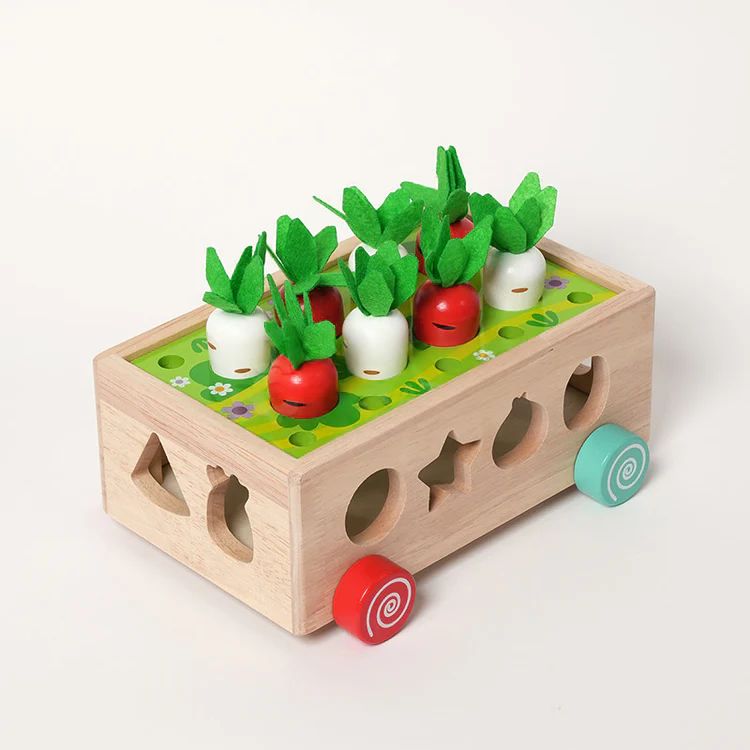 Montessori Karottenräder