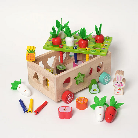 Montessori Karottenräder