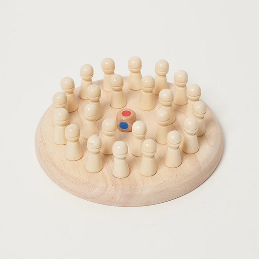 Montessori Memory Match
